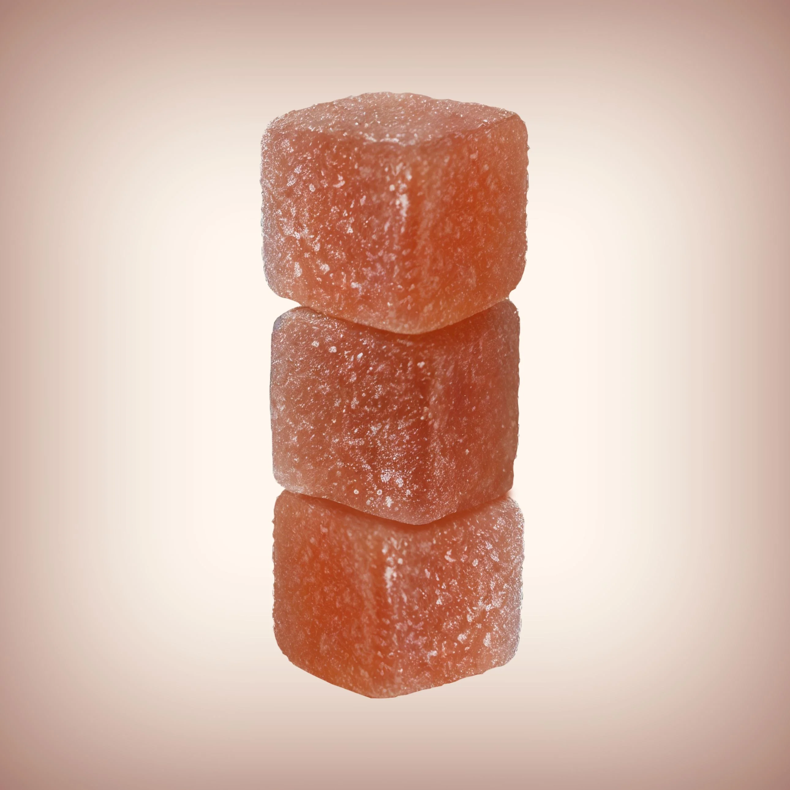 Fitness Bundle - Image 5