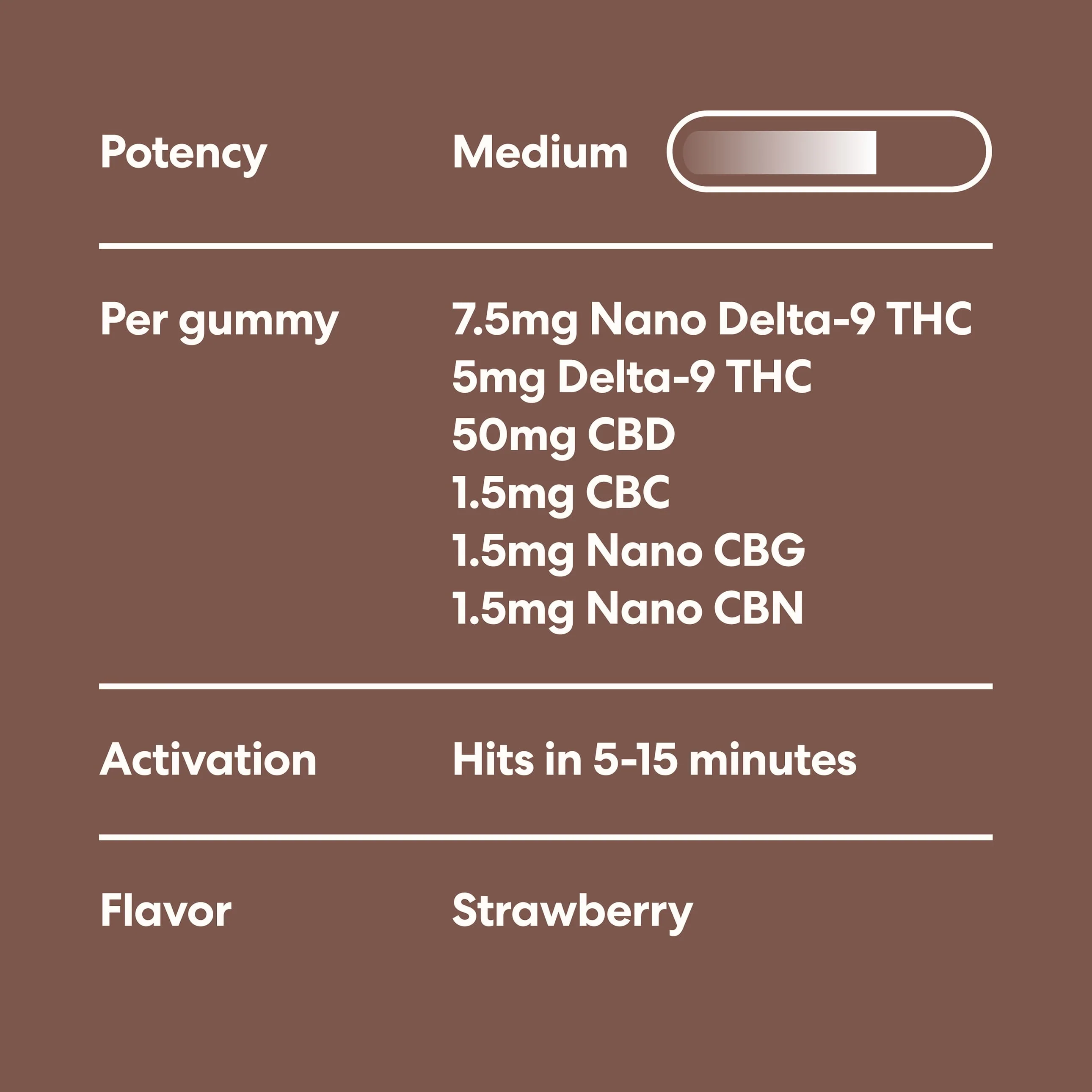 Fitness Bundle - Image 6
