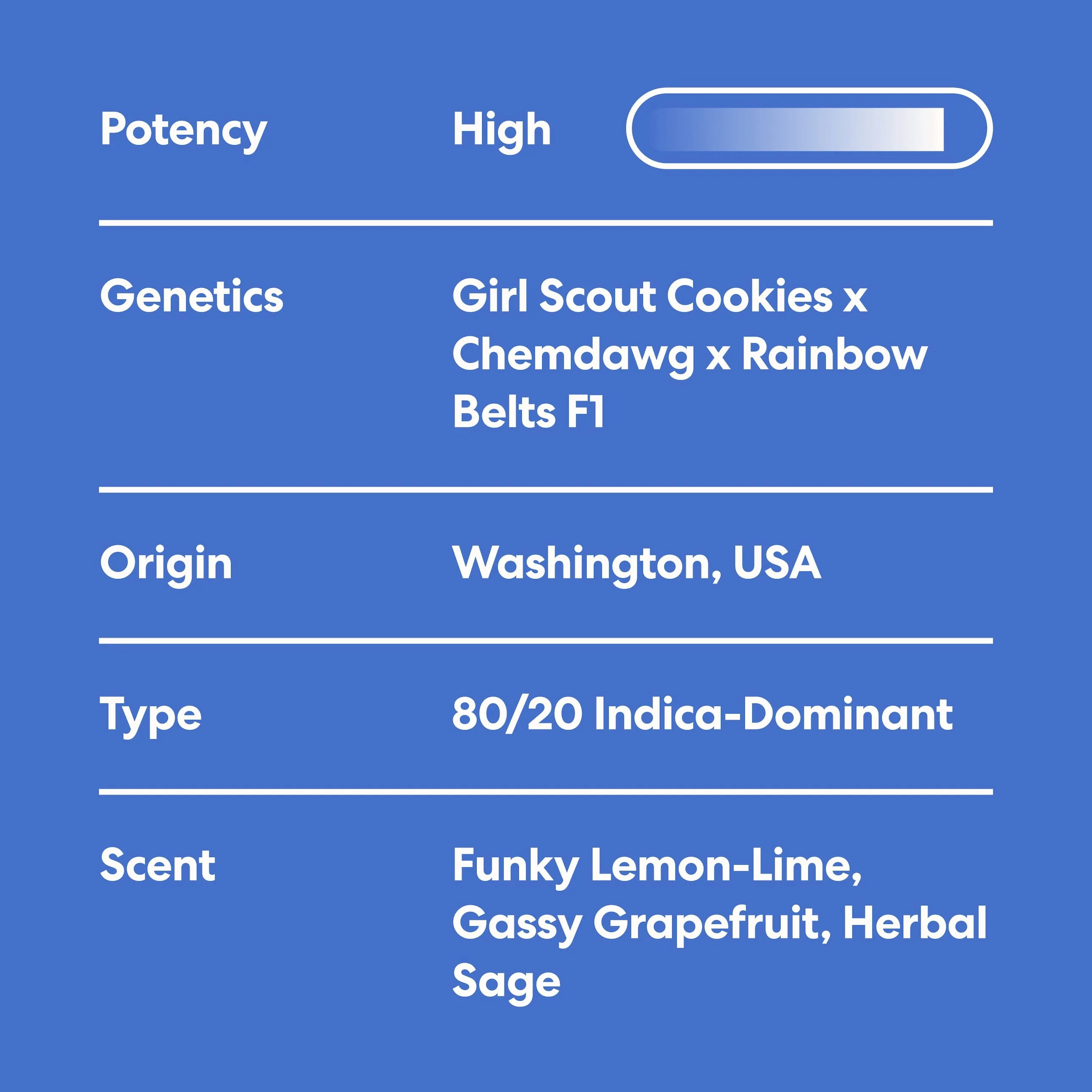 Smoker Summer Bundle - Image 3
